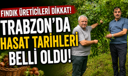 Fındık üreticileri dikkat! Trabzon'da hasat tarihleri belli oldu