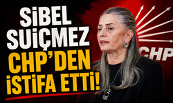 Sibel Suiçmez CHP'den istifa etti