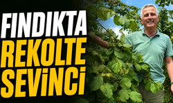 Fındıkta rekolte sevinci