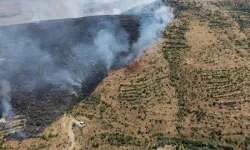Muğla'daki orman yangınında bir mahalle tahliye edildi