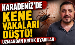 Karadeniz'de Kene Vakaları Düştü! Uzmandan Kritik Uyarılar