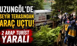 Uzungöl'de seyir terasından araç uçtu: 2 Arap turist yaralı
