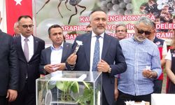 Kahverengi kokarcaya karşı 130 bin samuray arısı doğaya salındı