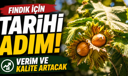 Fındık için tarihi adım! Verim ve kalite artacak