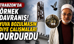 Trabzon'da örnek davranış! Yuva bozulmasın diye çalışmaları durdurdu