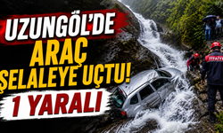 Uzungöl'de araç şelaleye uçtu: 1 yaralı