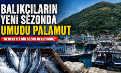 Balıkçıların yeni sezonda umudu palamut