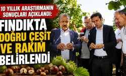 10 yıllık araştırmanın sonuçları açıklandı: Fındıkta doğru çeşit ve rakım belirlendi