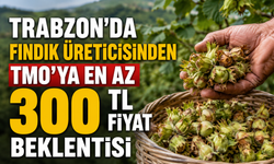 Trabzon’da fındık üreticisinden TMO’ya en az 300 TL fiyat beklentisi