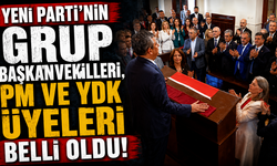 Yeni Parti'nin grup başkanvekilleri, PM ve YDK üyeleri belli oldu