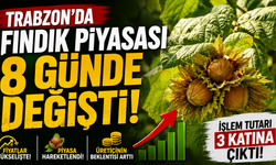 Trabzon’da fındık piyasası 8 günde değişti: İşlem tutarı 3 katına çıktı