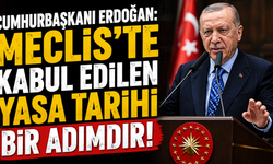 Cumhurbaşkanı Erdoğan: Meclis'te kabul edilen yasa tarihi bir adımdır