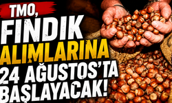 TMO, fındık alımlarına 24 Ağustos’ta başlayacak