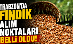 Trabzon’da fındık alım noktaları belli oldu