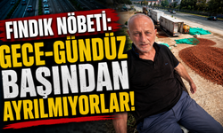 Fındık nöbeti: Gece-gündüz başından ayrılmıyorlar