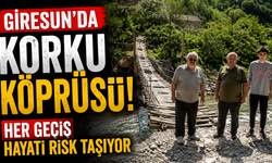 Giresun'da Korku Köprüsü! Her Geçiş Hayati Risk Taşıyor
