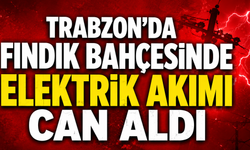 Trabzon'un Akçaabat ilçesinde bir kişi fındık bahçesinde elektrik akımına kapılarak hayatını kaybetti.
