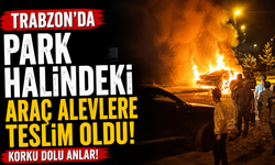 Trabzon'da park halindeki araç alevlere teslim oldu