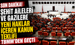 Şehit aileleri ve gazilere yeni haklar içeren kanun teklifi TBMM'den geçti