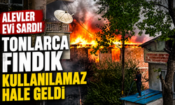 Alevler evi sardı! Tonlarca fındık kullanılamaz hale geldi