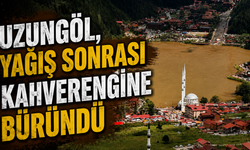 Uzungöl, yağış sonrası kahverengine büründü