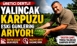 Yalıncak karpuzu üretimi eski günlerini arıyor