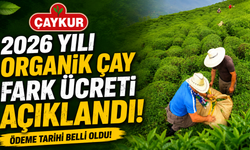 ÇAYKUR organik çay fark ücreti açıklandı! Ödeme tarihi belli oldu