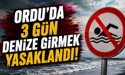 Ordu’da 3 gün denize girmek yasaklandı