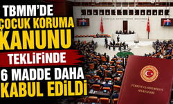 TBMM'de Çocuk Koruma Kanunu teklifinde 6 madde daha kabul edildi