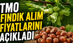 TMO fındık alım fiyatlarını açıkladı