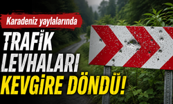 Karadeniz yaylalarında trafik levhaları kevgire döndü