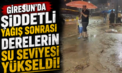Giresun'da şiddetli yağışlar sonrası derelerin su seviyesi yükseldi