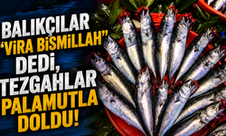 Balıkçılar "Vira Bismillah" dedi, tezgahlar palamutla doldu