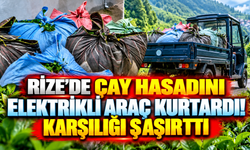 Rize’de çay hasadını elektrikli araç kurtardı! Karşılığı şaşırttı