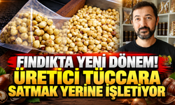 Fındıkta yeni dönem! Üretici tüccara satmak yerine işletiyor