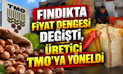 Fındıkta fiyat dengesi değişti, üretici TMO’ya yöneldi