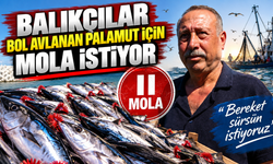 Balıkçılar bol avlanan palamut için mola istiyor