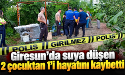 Giresun’da suya düşen 2 çocuktan 1'i hayatını kaybetti