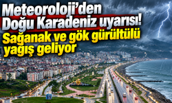 Meteoroloji’den Doğu Karadeniz uyarısı! Sağanak ve gök gürültülü yağış geliyor