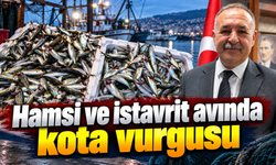 Hamsi ve istavrit avında kota vurgusu