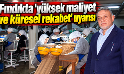 Fındıkta 'yüksek maliyet ve küresel rekabet' uyarısı