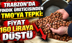 Trabzon'da fındık üreticisinden TMO'ya tepki: Fiyat 160 liraya düştü