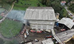 Rize’de çay fabrikasının ambalaj deposunda yangın