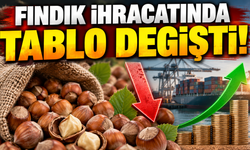 Fındık ihracatında miktarda yüzde 23 düşüş, değerde ise yüzde 19 artış