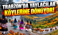 Trabzon'da yaylacılar köylerine dönmeye başladı