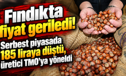 Fındıkta fiyat geriledi! Serbest piyasada 185 liraya düştü, üretici TMO’ya yöneldi