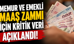 Memur ve emekli maaş zammı için kritik veri açıklandı