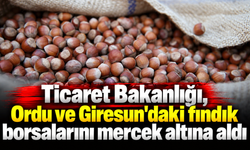 Ticaret Bakanlığı, Ordu ve Giresun'daki fındık borsalarını mercek altına aldı