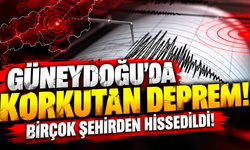 Güneydoğu'da korkutan deprem: Birçok şehirden hissedildi!