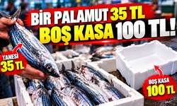 “Bir Palamut 35 TL, Boş Kasa 100 TL!”